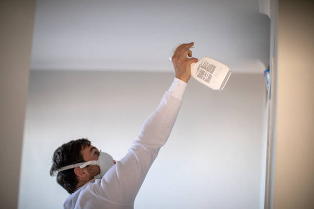 Best Mold Testing and Inspection Services in Grant, MI